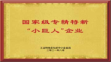 國(guó)家級(jí)專精特新“小巨人”企業(yè)
